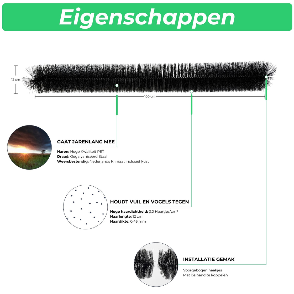 WATTR Vogelwering Borstels – 10 t/m 50 Meter Bescherming voor Zonnepanelen & Dakgoten – Duurzaam, Onzichtbaar & Effectief tegen Kauwen, Duiven & Mussen